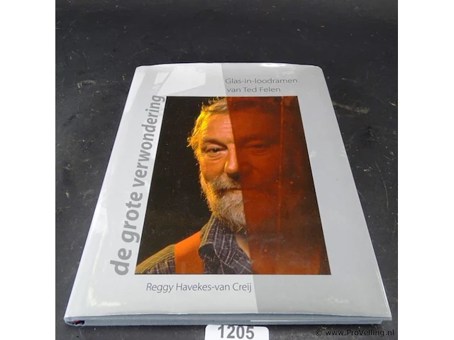 Boek. glas in lood ramen van ted felen - afbeelding 1 van  5
