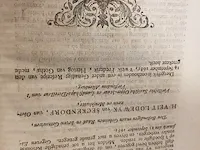 Boek, historie der reformatie martin luther, bouwjaar 1728 - afbeelding 9 van  10
