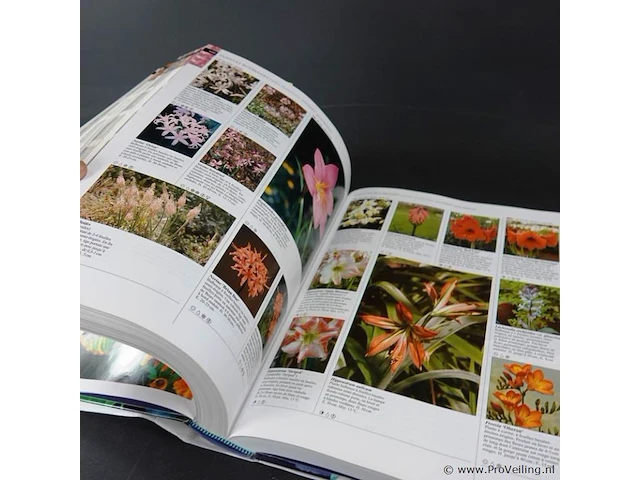 Boek. larousse des plants & fleurs de jardin - afbeelding 4 van  5