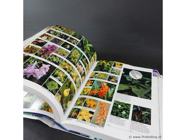 Boek. larousse des plants & fleurs de jardin - afbeelding 5 van  5