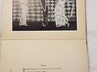 Boek, the vain in the marble stephan tennant, bouwjaar 1925 - afbeelding 4 van  4
