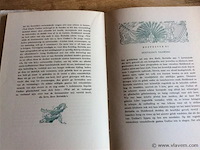 Boek: undine - afbeelding 3 van  3