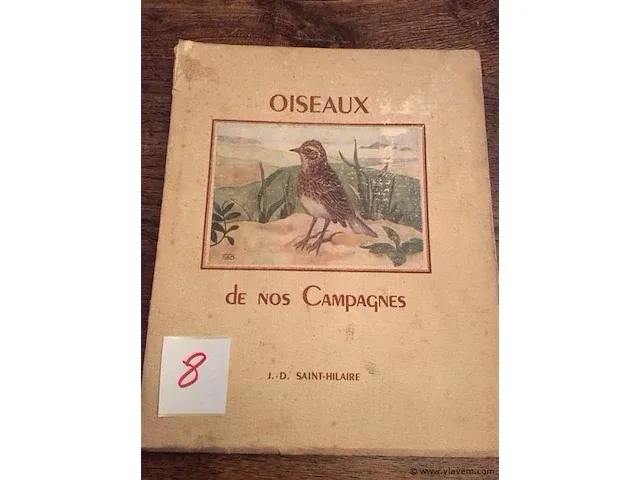 Boek vogels - afbeelding 1 van  3