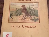 Boek vogels - afbeelding 1 van  3