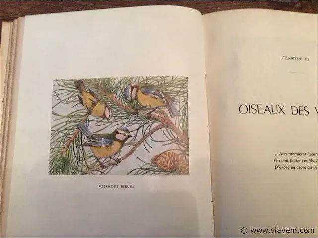 Boek vogels - afbeelding 3 van  3