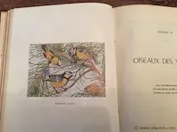 Boek vogels - afbeelding 3 van  3
