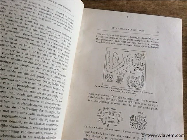 Boeken de wereld voor de schepping 2stuks - afbeelding 3 van  5