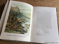 Boeken de wereld voor de schepping 2stuks - afbeelding 4 van  5