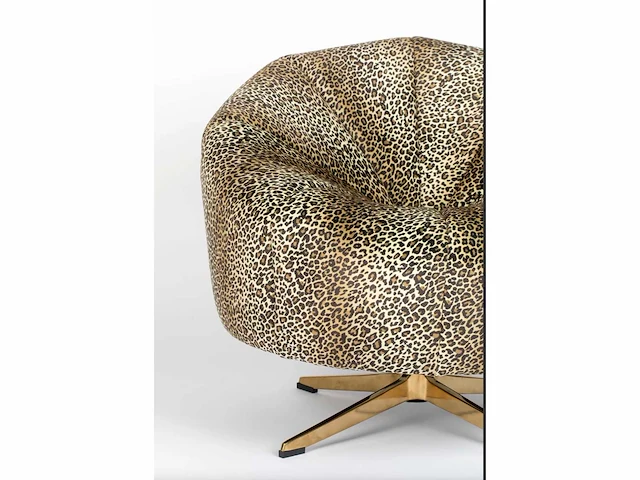 Bold monkey where the sun doesn't shine panter fauteuil - afbeelding 6 van  13