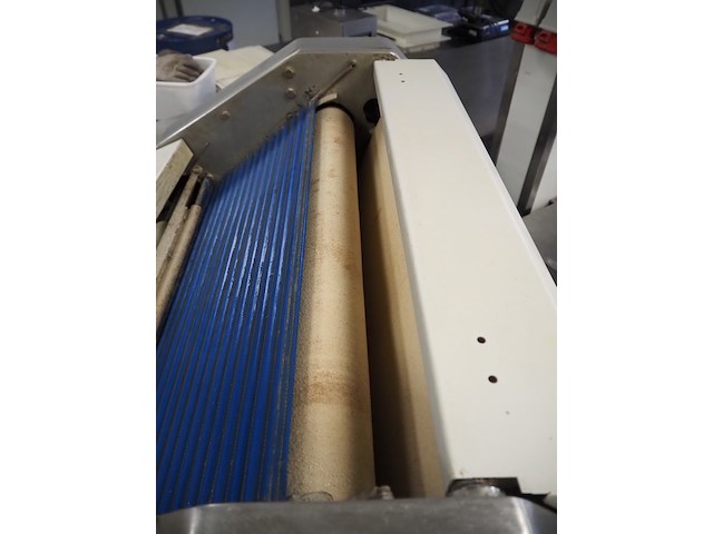 Bongard - afbeelding 4 van  8