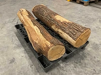 Boomstam decoratie (2x) - afbeelding 1 van  3