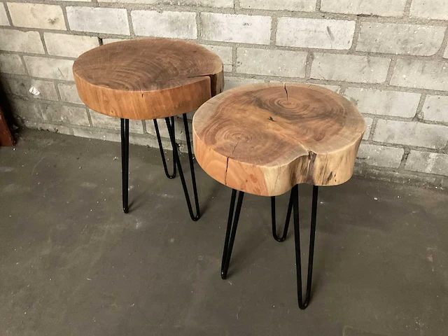 Boomstam salontafel - afbeelding 1 van  7