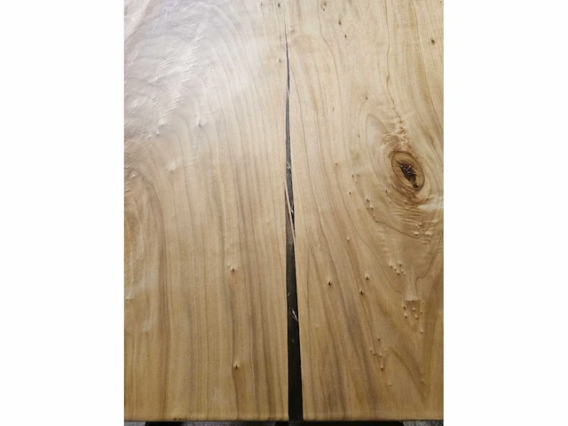 Boomstamtafel 247cm - afbeelding 6 van  7