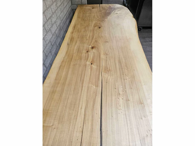 Boomstamtafel 247cm - afbeelding 7 van  7