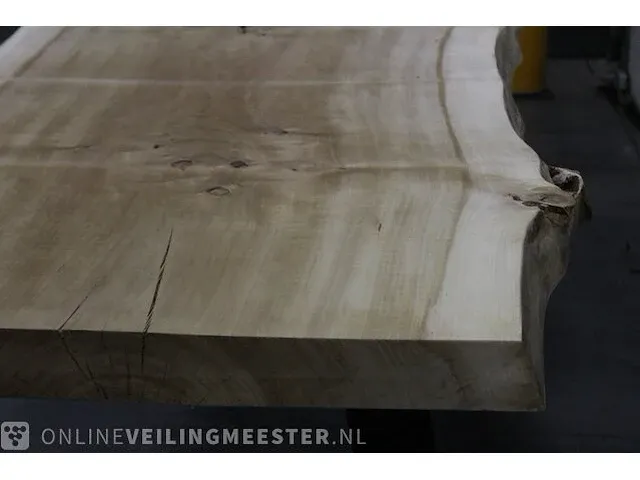 Boomstamtafel a poot - afbeelding 3 van  5