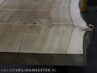 Boomstamtafel a poot - afbeelding 3 van  5