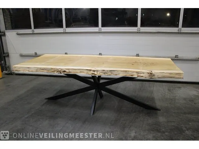 Boomstamtafel matriks poot - afbeelding 3 van  4