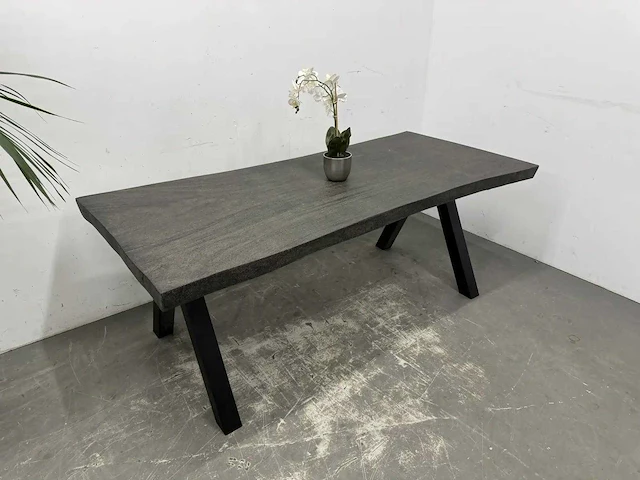 Boomstamtafel - afbeelding 4 van  10