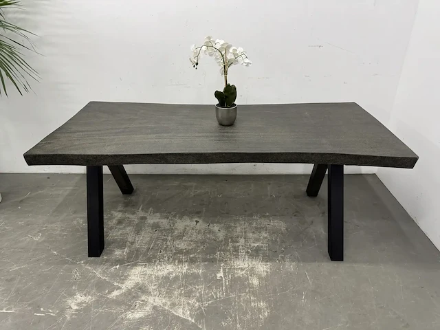 Boomstamtafel - afbeelding 2 van  10