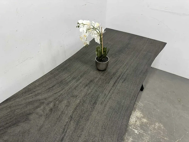 Boomstamtafel - afbeelding 4 van  10