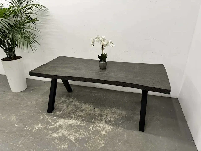 Boomstamtafel - afbeelding 1 van  10