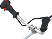 Bosmaaier gude, gfs 52.3 - afbeelding 4 van  6