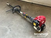 Bosmaaier - afbeelding 2 van  9