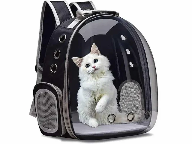 Boss house - kattenrugzak (40x) - afbeelding 1 van  5