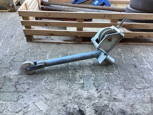 Botenlier - afbeelding 1 van  6