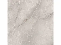 Bravas grey mat tegel 60 m² - afbeelding 1 van  1