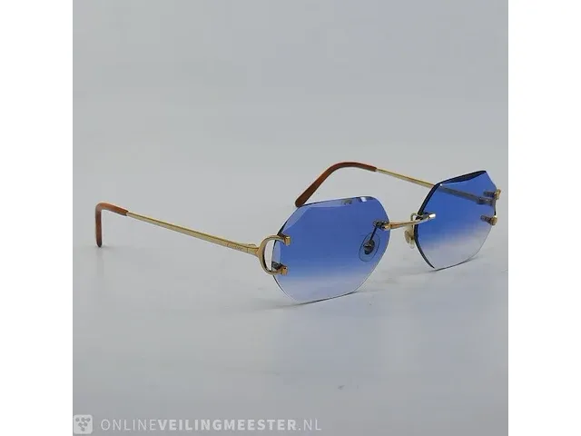 Bril cartier, ct00920 - afbeelding 6 van  12