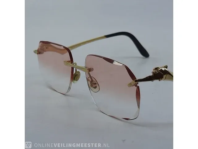 Brilmontuur cartier, ct0120oa - afbeelding 2 van  17