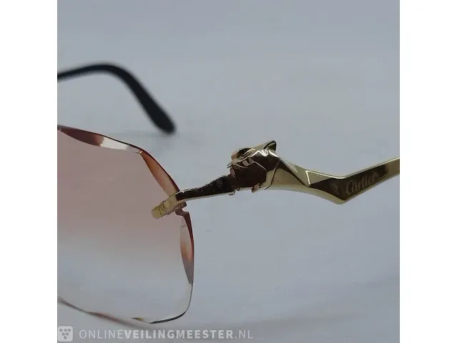 Brilmontuur cartier, ct0120oa - afbeelding 3 van  17