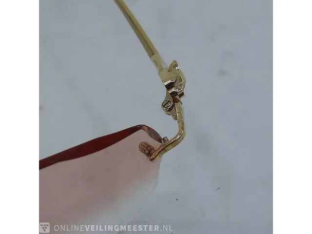 Brilmontuur cartier, ct0120oa - afbeelding 6 van  17