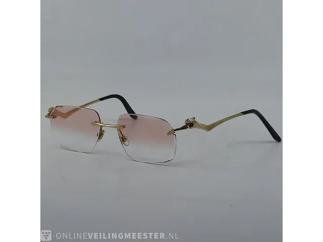 Brilmontuur cartier, ct0120oa - afbeelding 1 van  17