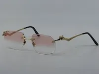 Brilmontuur cartier, ct0120oa - afbeelding 1 van  17