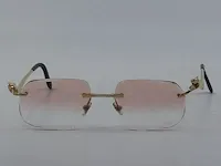 Brilmontuur cartier, ct0120oa - afbeelding 10 van  17