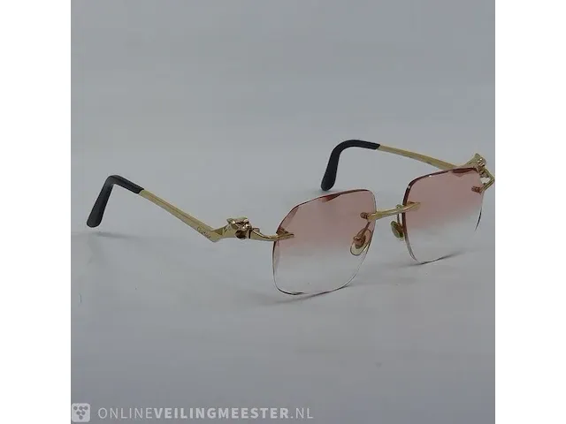 Brilmontuur cartier, ct0120oa - afbeelding 11 van  17