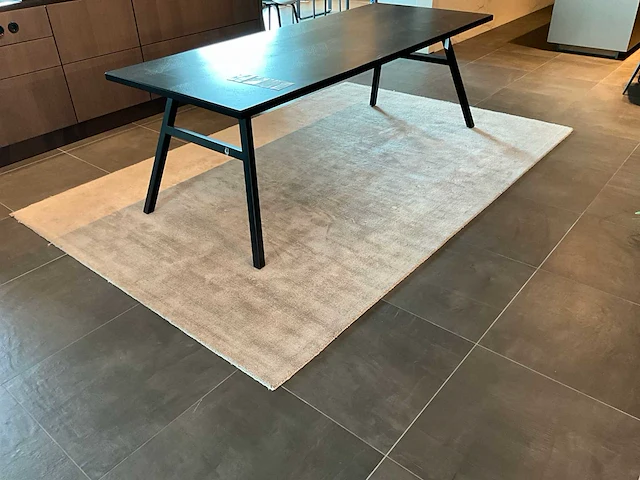 Brinker brillante vloerkleed 300x200 cm - afbeelding 1 van  1