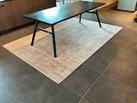 Brinker brillante vloerkleed 300x200 cm - afbeelding 1 van  1
