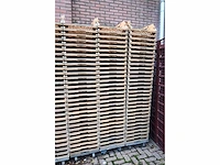 Broban broodkratten (330x) - afbeelding 5 van  6