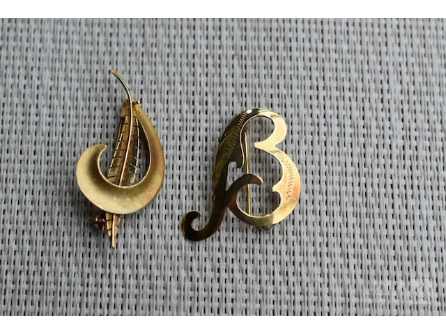 Broches - afbeelding 1 van  5