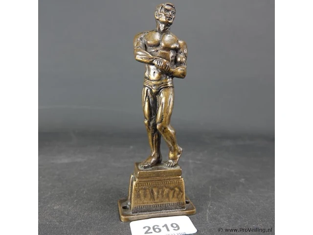 Bronzen?. spierbundel - afbeelding 1 van  5