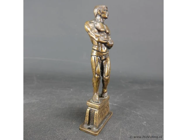 Bronzen?. spierbundel - afbeelding 2 van  5