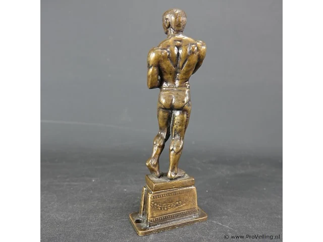 Bronzen?. spierbundel - afbeelding 3 van  5