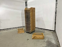 Broodkrat (250x) - afbeelding 1 van  6