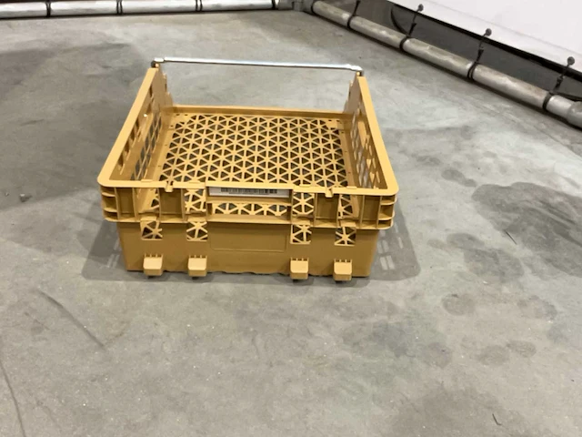Broodkrat (250x) - afbeelding 6 van  6