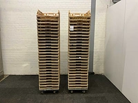 Broodkratten (175x) - afbeelding 3 van  6