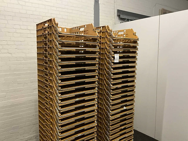 Broodkratten (175x) - afbeelding 5 van  6