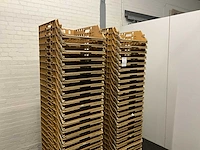 Broodkratten (175x) - afbeelding 5 van  6